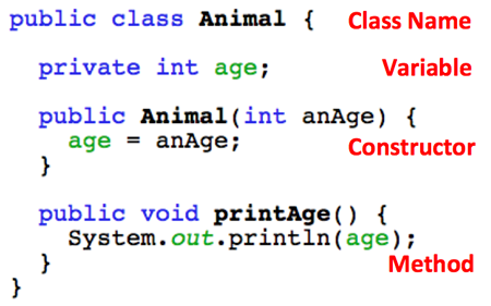 boolean code example