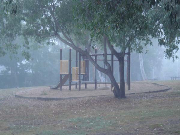 dry season fog